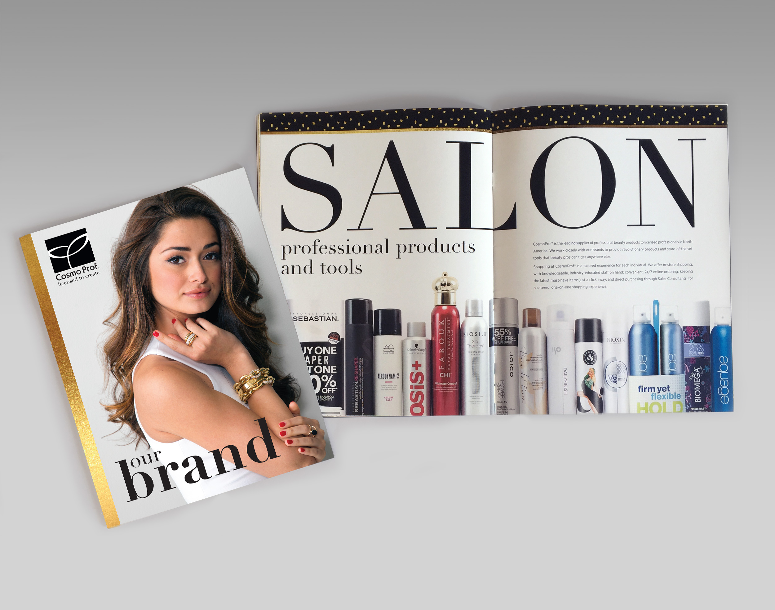 CosmoProf Brand Book