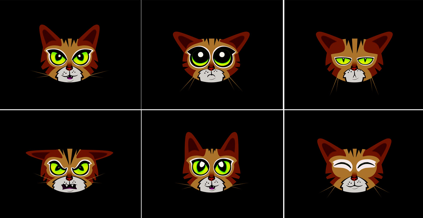 Cat Study Stills