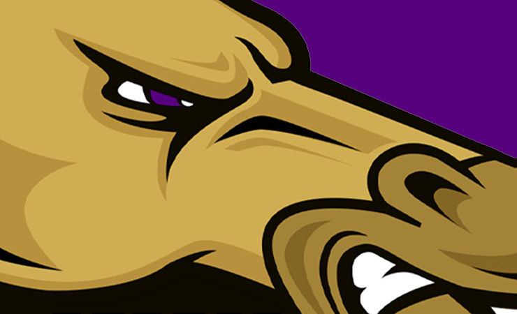 Denton Broncos Logo