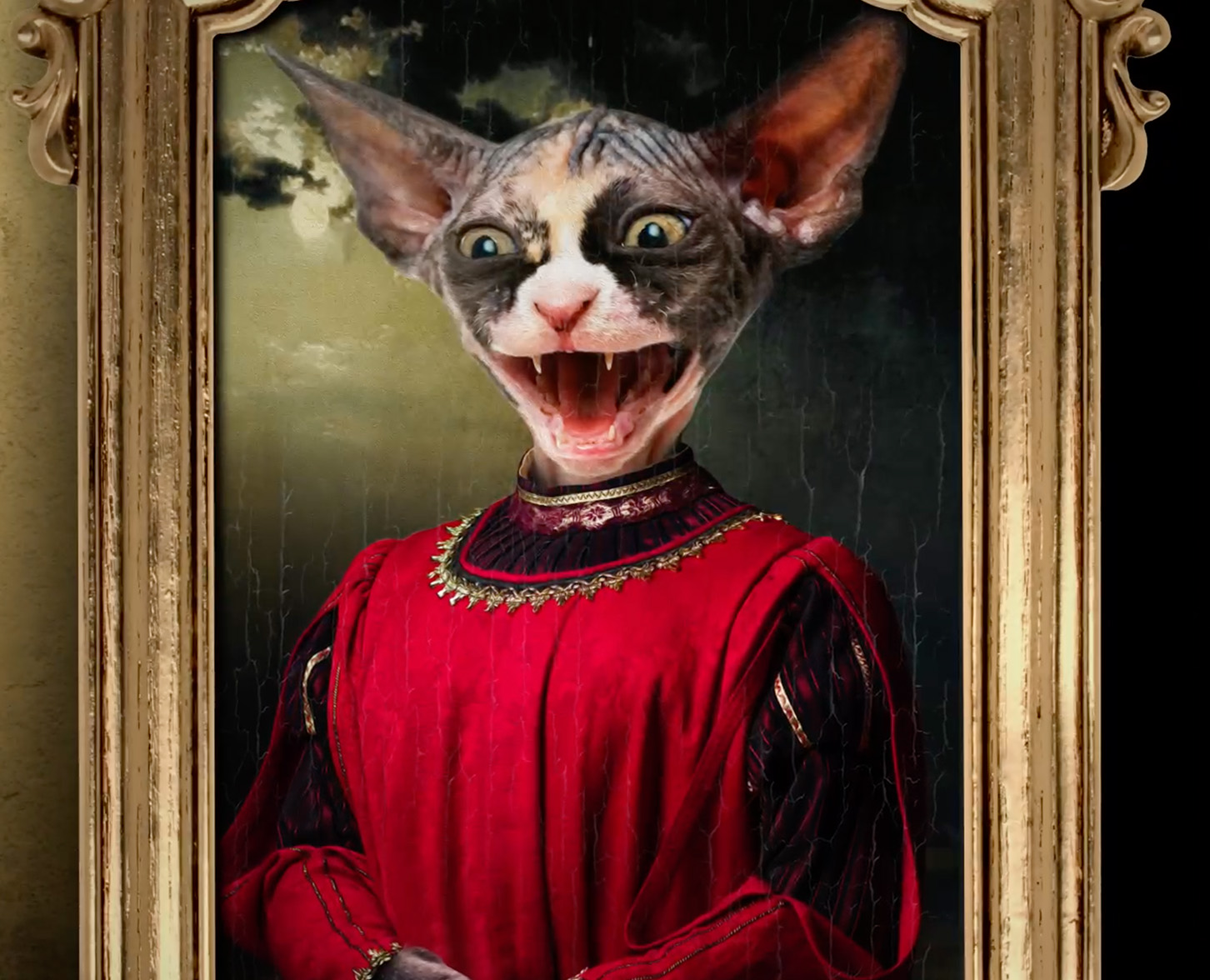 Medieval Sphynx Cat
